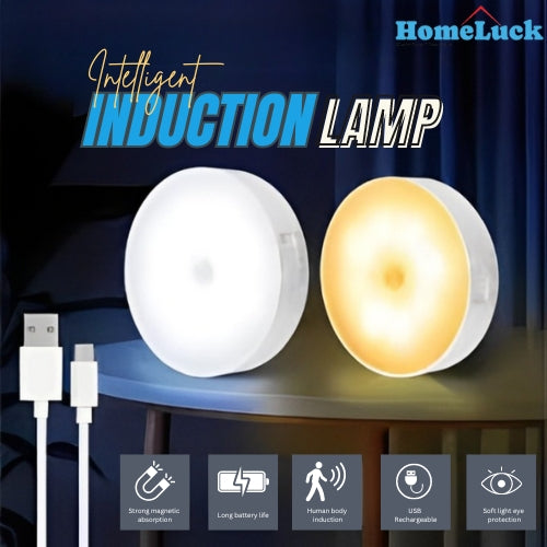 Intelligent induction lamp