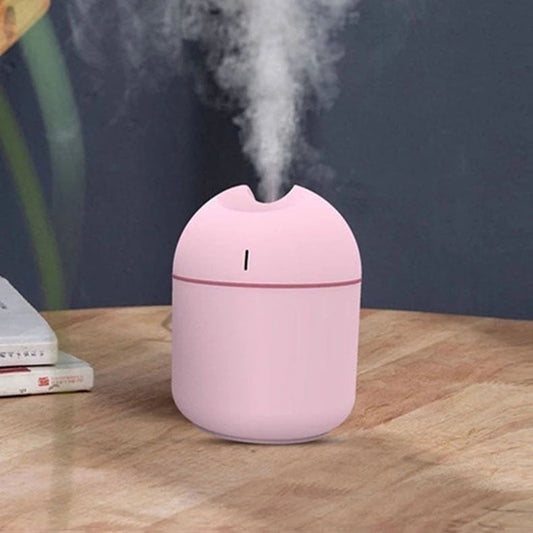 250ML Table Humidifier with Extra USB Port and Lightening Effect